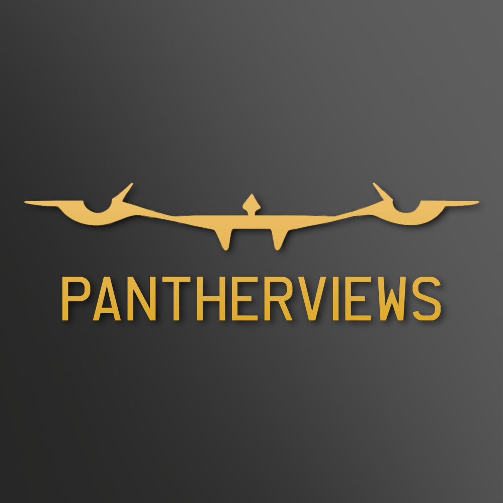 Panthersviews logo